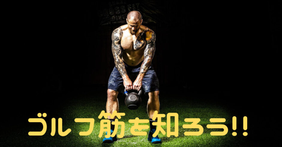 ゴルフで必要な筋肉 ゴルフで使う筋肉はどれだ ゴルフ筋を理解して 飛距離を伸ばそう からだココロblog